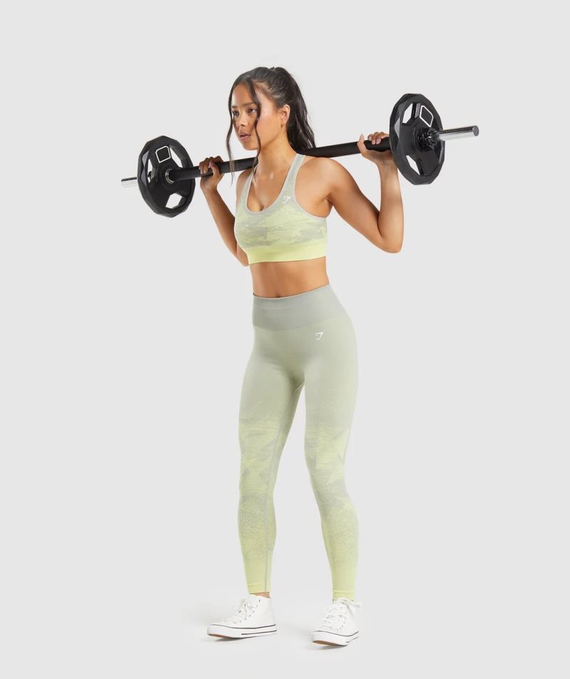 Women's Gymshark Adapt Ombre Seamless Leggings Mint | CA 8607NA